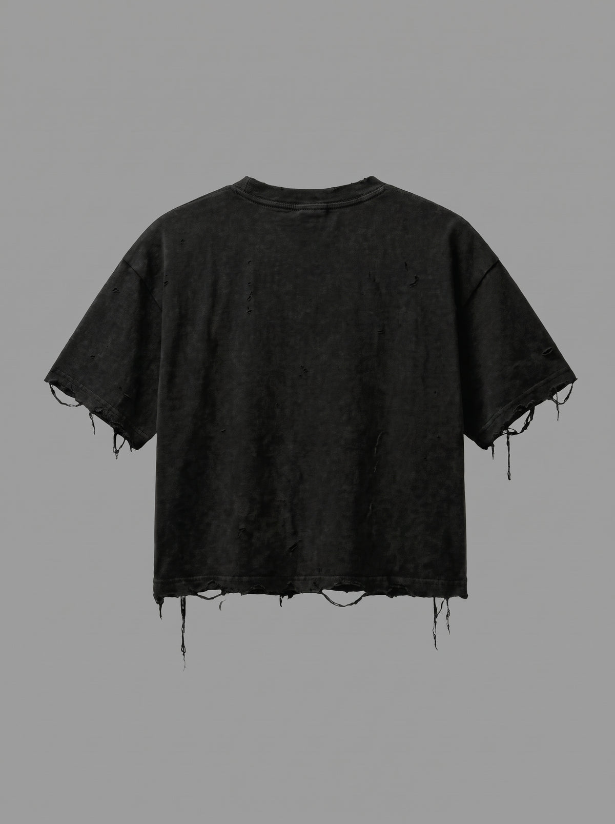 T-SHIRT ONTROPHY